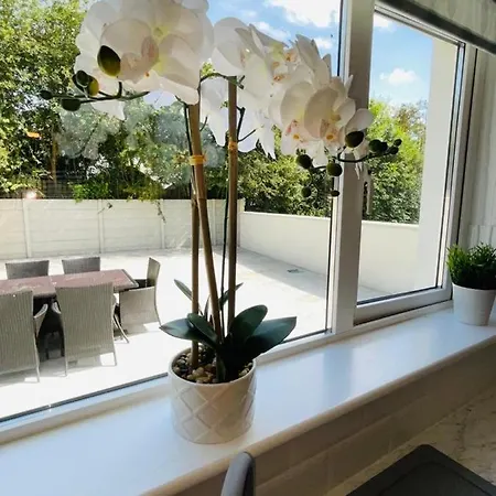 Σπίτι διακοπών The Mid Kerry Escape Milltown (Kerry)