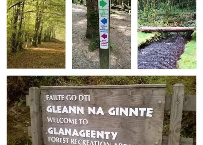 The Mid Kerry Escape